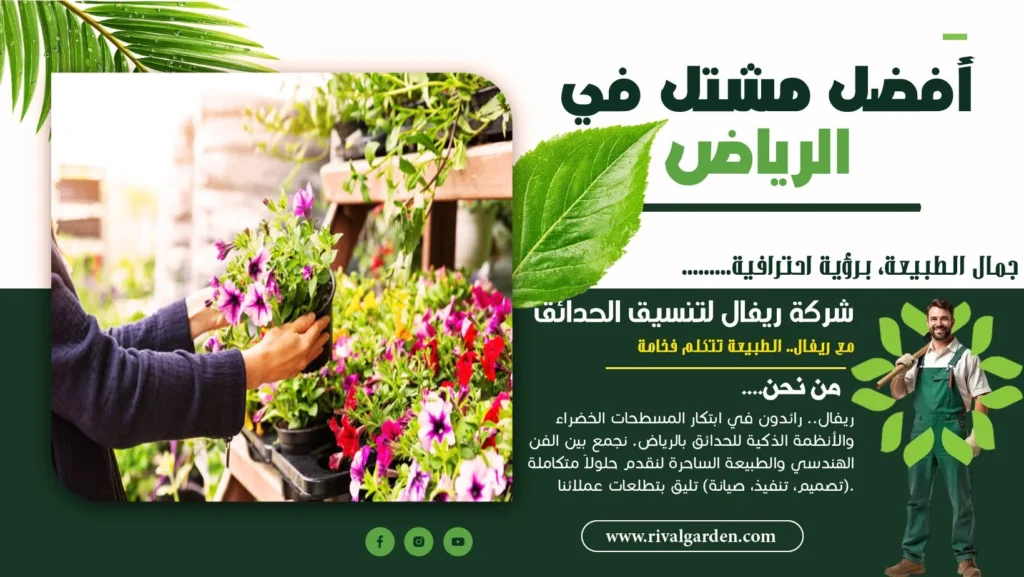 افضل مشتل في الرياض