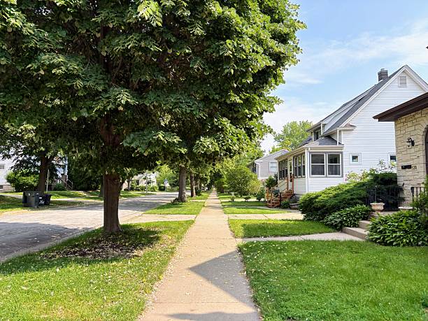 تقليم الاشجار